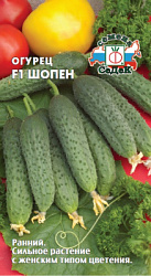 ogurets_shopen_f1