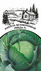 kapusta rinda faz