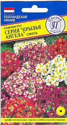 схизантус