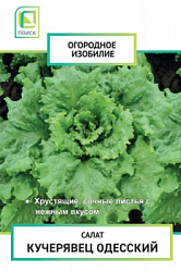 salat_kucheryavec_odessky_og_izob_nd