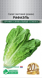 Салат листовой (ромэн) Рафаэль
