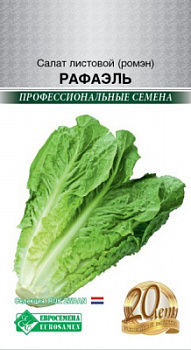 Салат листовой (ромэн) Рафаэль