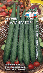 ogurets_alligator_f1