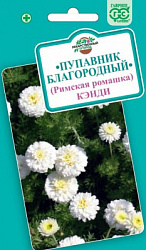 pupavnik_romashka_rimskaya_kendi_mini4