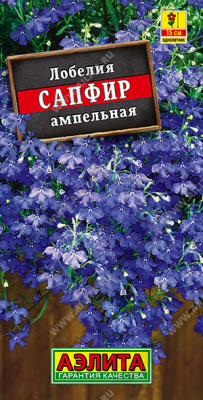 Лобелия Сапфир