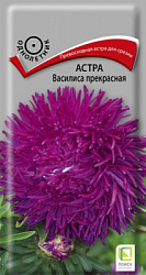 astra_vasilisa_prekrasnaya