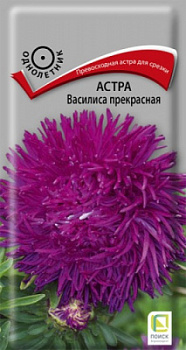 astra_vasilisa_prekrasnaya