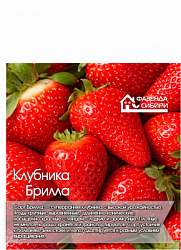 Брилла