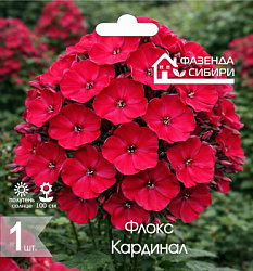 Флокс Кардинал. cdr