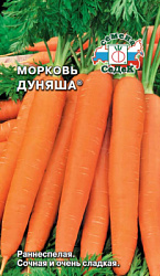 morkov_dunyasha