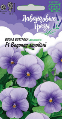 Виола лиловый