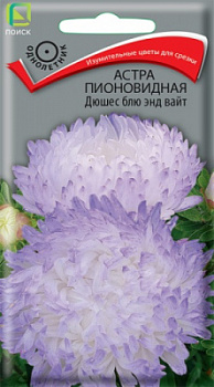 astra_pion_dushes_blue_and_white