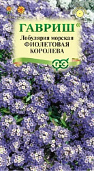 Лобулярия Фиолетовая королева