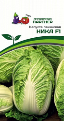 Капуста пек ника