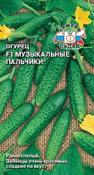 ogurets_muzykalnye_palchiki_f1