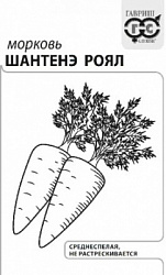 Морковь Шантенэ Роял