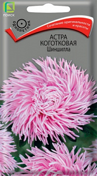 astra_kogotkovaya_shinshilla