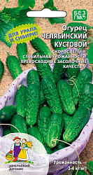 ogurec-chelyabinskiy-kustovoy