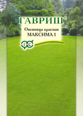 Овсяница красная максима