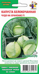 kapusta-belokochannaya-chudo-na-hranenie-f1-1
