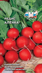 Редис аленка