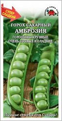 Амброзия