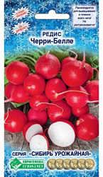Редис Черри-Белле