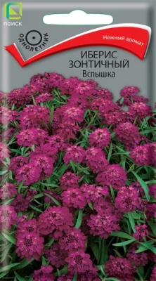 Иберис зонтичный Вспышка