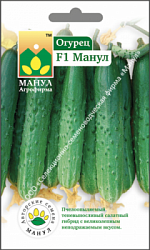 Огурец Манул