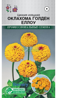 Цинния Оклахома Голден Еллоу
