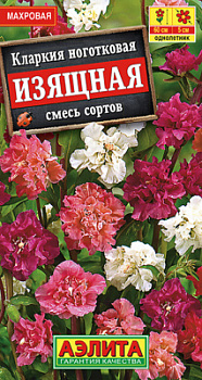 Кларкия изящная, смесь сортов_ЦП