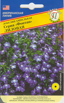 Лобелия лиловая