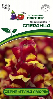 Львиный зев сперанца