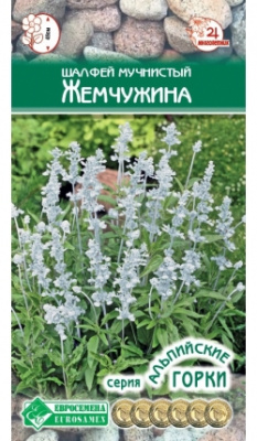 Шалфей Жемчужина