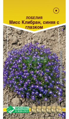 Лобелия Миссис Клибран, синяя с глазком