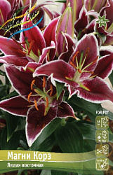 Lilium Magny Cours