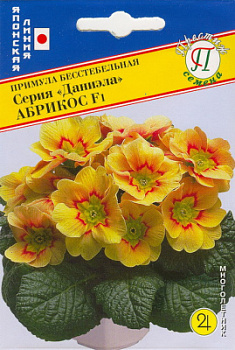 Примула Даниэла Абрикос