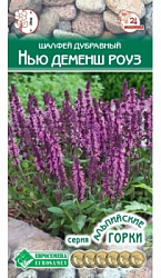 Шалфей нью деменш