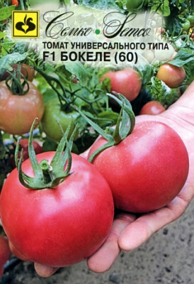 tomat_bokele60
