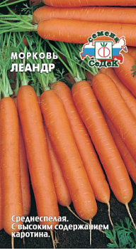 morkov_leandr