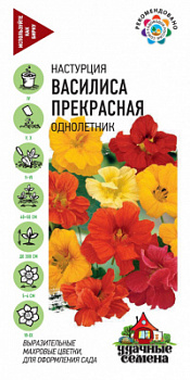 Настурция Василиса