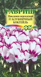 Цикламен Клубничный коктейль