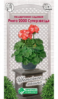 Пеларгония Ринго 2000 Супер Звезда садовая