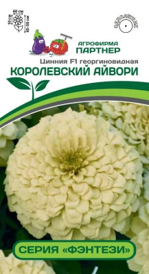 Цинния Королевский айвори