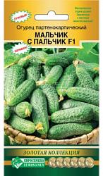 Огурец Мальчик с пальчик