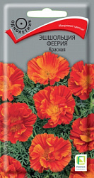 esholcia_feeria_krasnaya