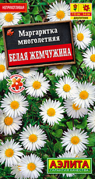Маргаритка Белая жемчужина_ЦП