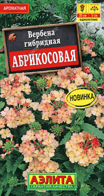 Вербена Абрикосоввая