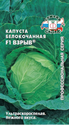 kapusta_vzryv_f1