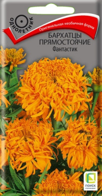 barhatsy_pryamost_fantastik